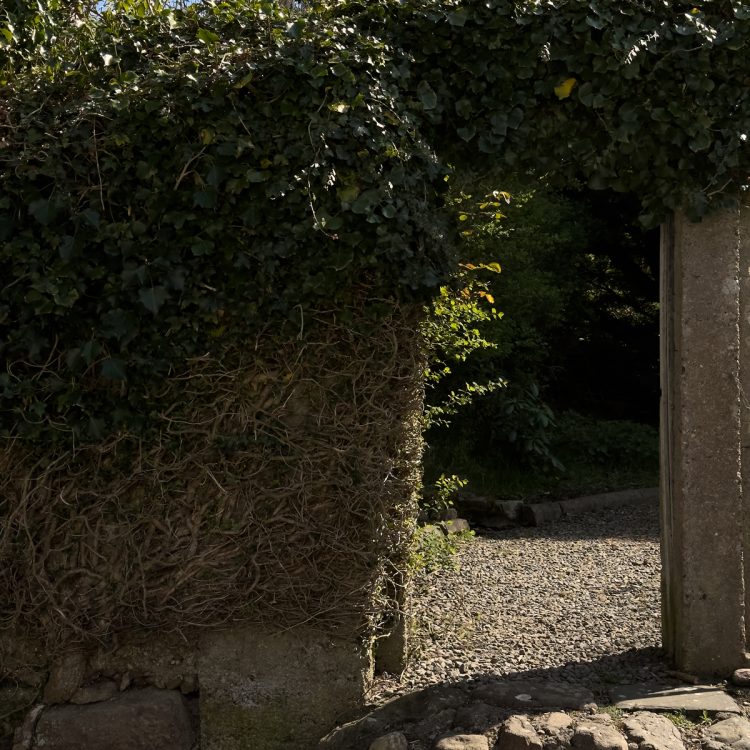 TheAlmanage_April2025_60