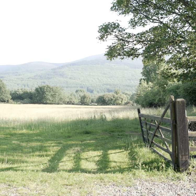 Screenshot-2025-07-18-at-15.54.51