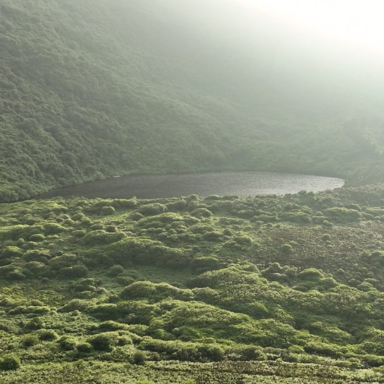 Screenshot-2025-07-18-at-15.55.041